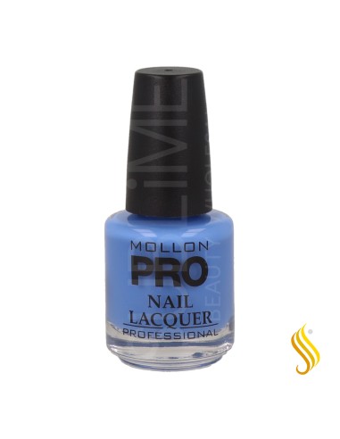 Mollon Pro Hardening Nail Lacquer Color 367 15 ml