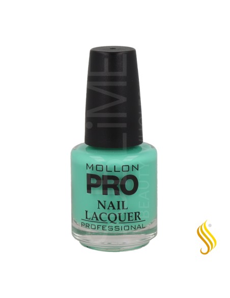 Mollon Pro Hardening Nail Lacquer Color 366 15 ml