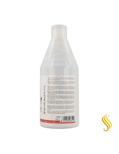 Salerm Hair Lab Color Duradero Champú 600 ml 2